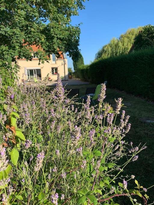 Maison Village, 10 Pers, Proche De La Plage Audinghen Eksteriør bilde